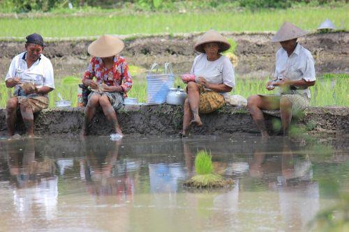 work together farming green