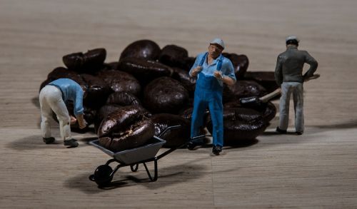 worker coffee coffee beans