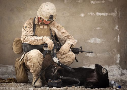 working dog military handler