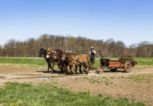 Working The Fields