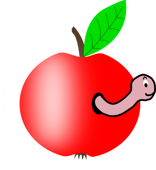 wormhole apple worm