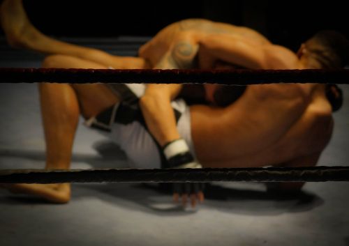 wrestling fighting martial arts