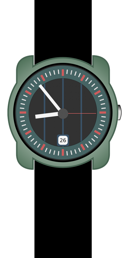 wristwatch watch strap