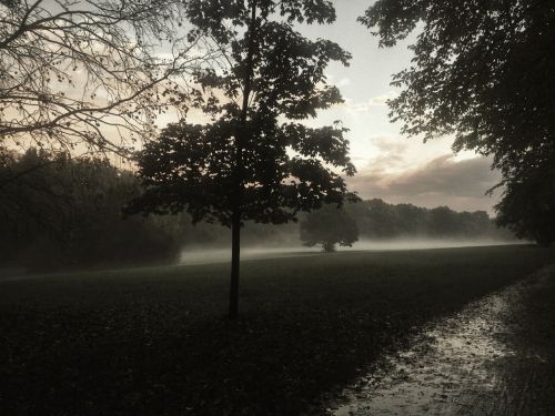 wroclaw fog landscape