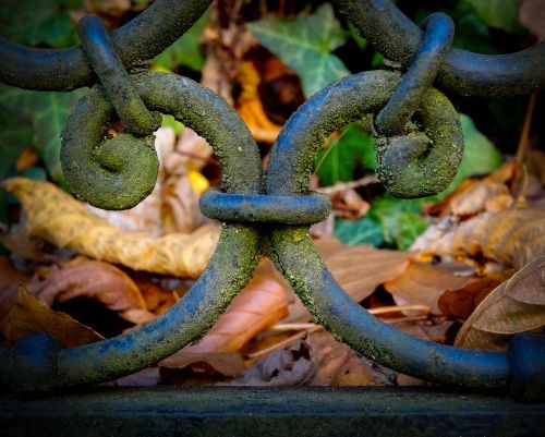 wrought iron iron gate moss