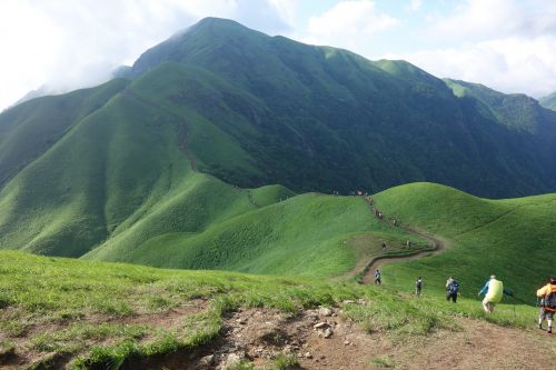 wugongshan mountains vegetation