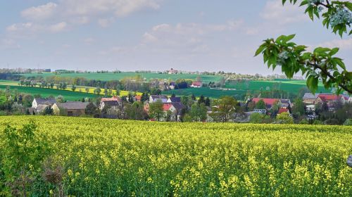 würchwitz nature view