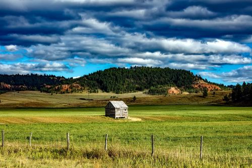 wyoming shed farm