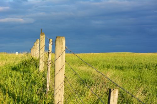 wyoming fence prairie