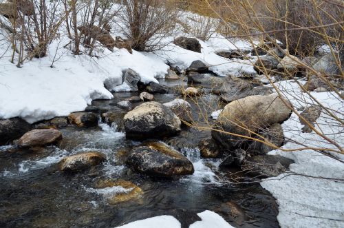 wyoming winter calm