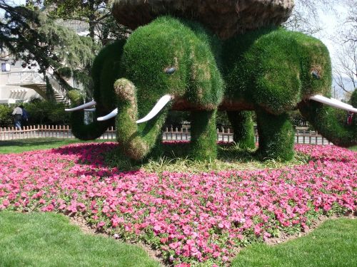 xuanwu lake elephants trees