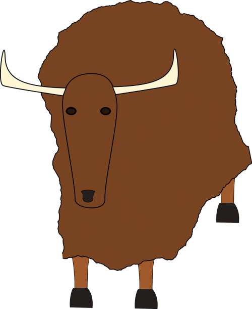 yak animal mammal