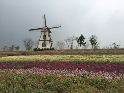 yangzhou wedding photography scene windmill