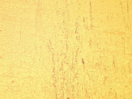 yellow grain texture