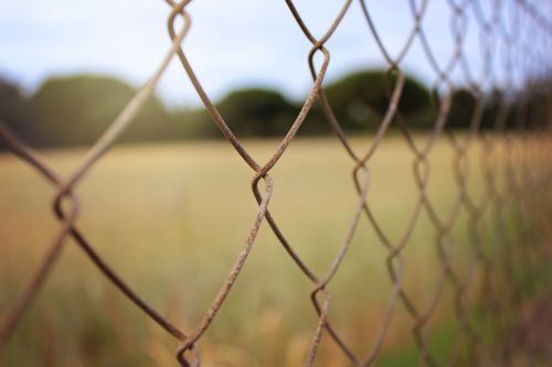 yellow green rural