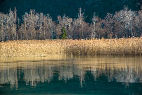 yellow silver lake