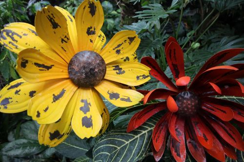 yellow flower floral