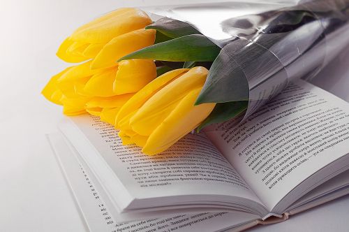 yellow petal flower