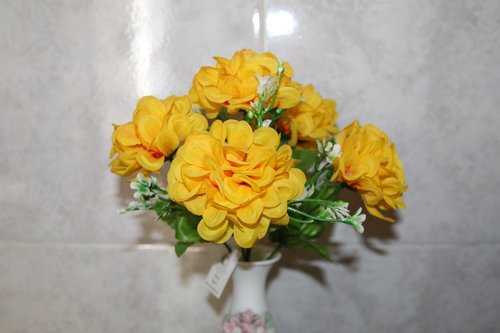 yellow  flowers