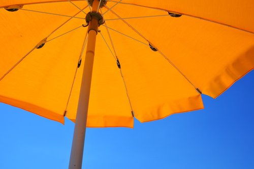yellow  parasol  summer