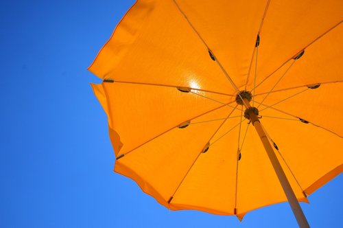 yellow  parasol  summer