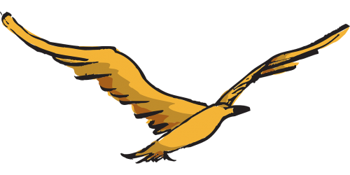 yellow bird flying