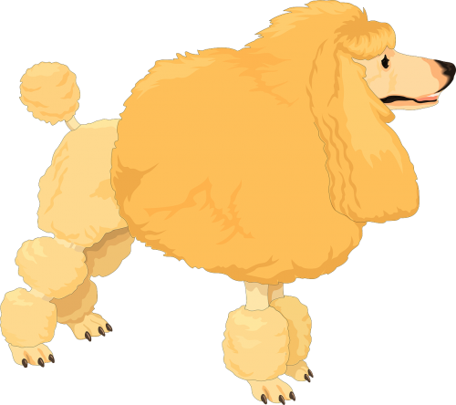 yellow dog pet