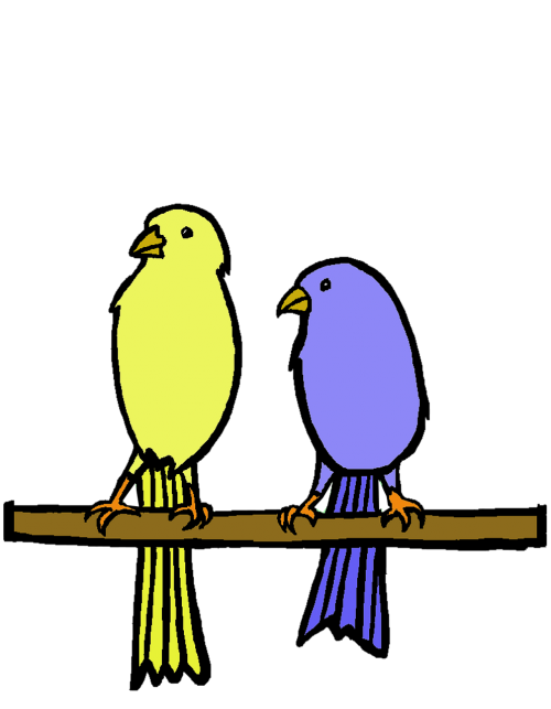 yellow blue bird