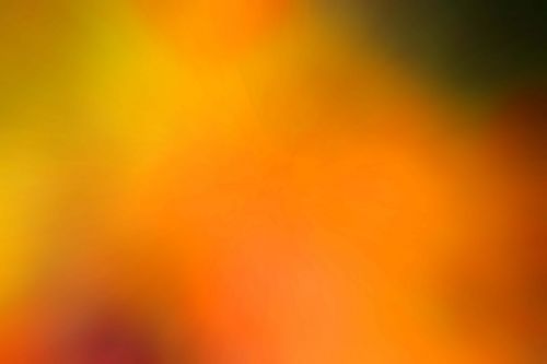 Download free photo of Background,blurred,yellow,yellow background blur,free  pictures - from 
