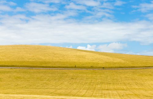 Yellow Blue Landscape