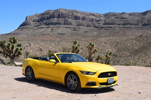 yellow car car mustang