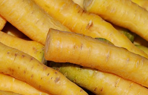 yellow carrots variety mellow-yellow