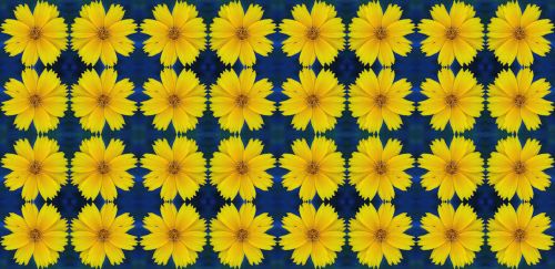 Yellow Daisy Pattern