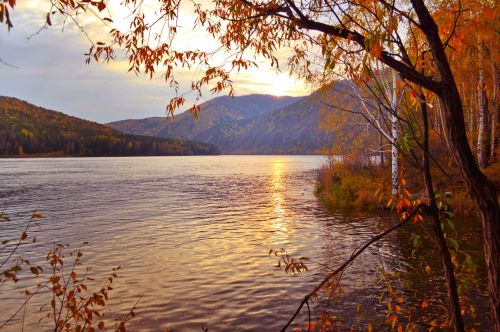 Yellow Evening