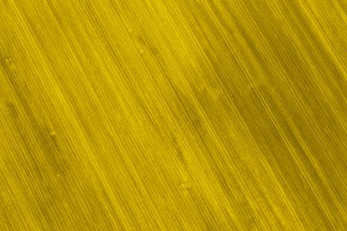 Yellow Field Background