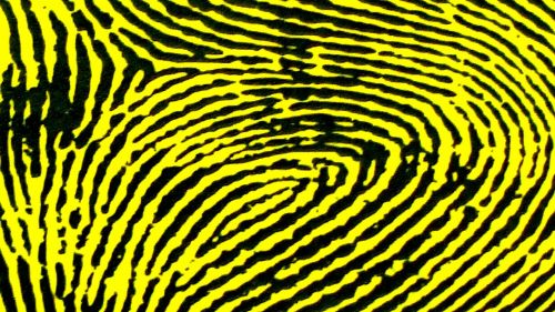 Yellow Fingerprint Background