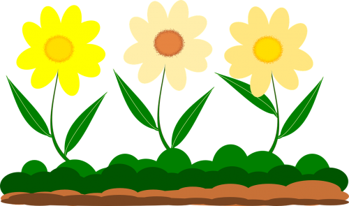 yellow flower vector image garden