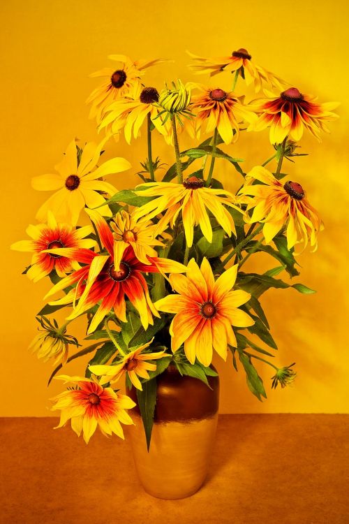 yellow flowers vase still life