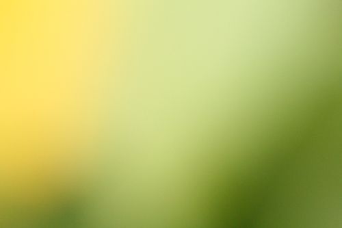 Yellow Green Blur Background