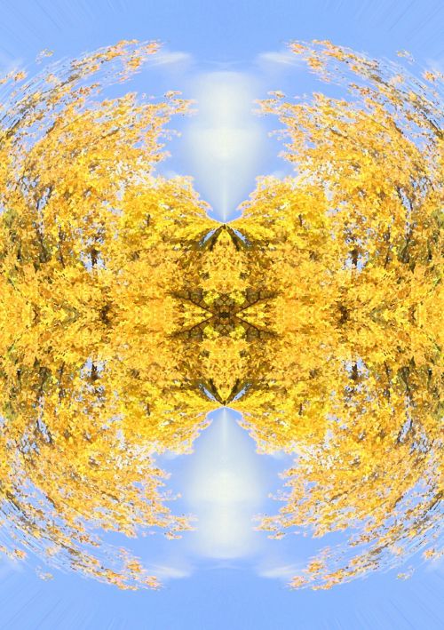 Yellow Leaves Abstract