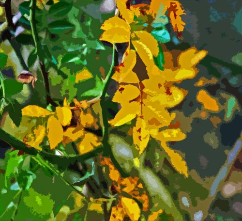 Yellow Leaves Cutout