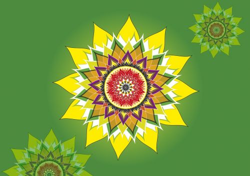 yellow lotus flower line graphic