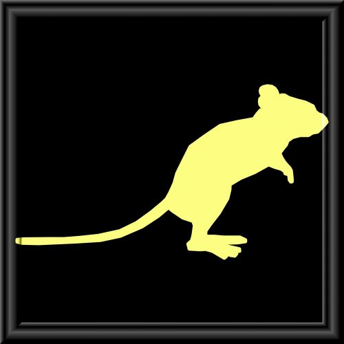 Yellow Mouse