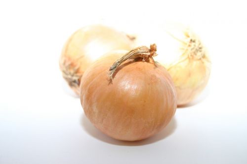 yellow onion onion grönsakser