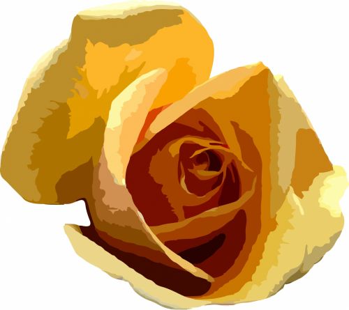 Yellow Rose