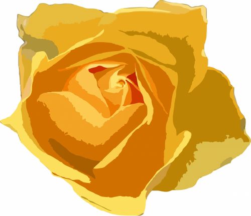 Yellow Rose