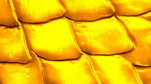 Yellow Scales Pattern Background