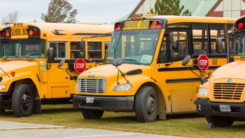 Yellow School Buses