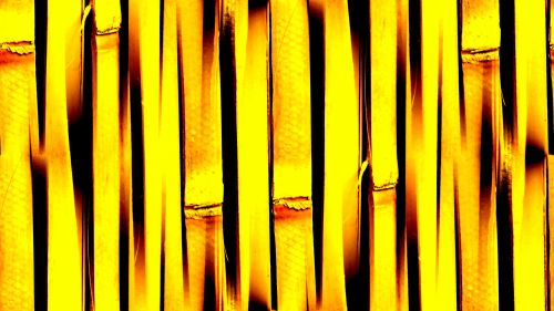 Yellow Seamless Bamboo Background