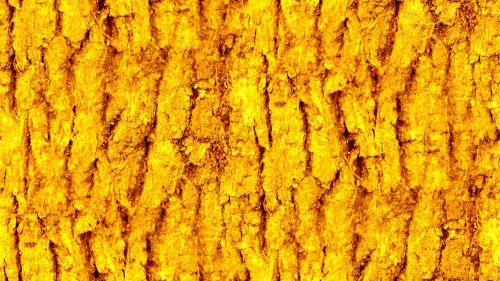 Yellow Seamless Bark Background